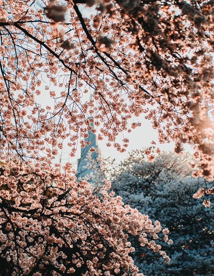 Season Guest House Tokyo Ngoại thất bức ảnh